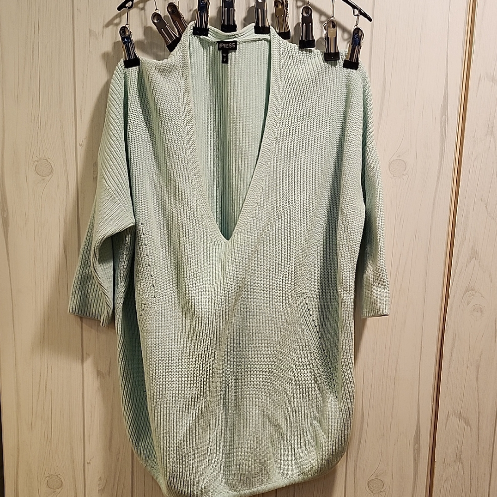 Express Light Green Ribbed Sweater